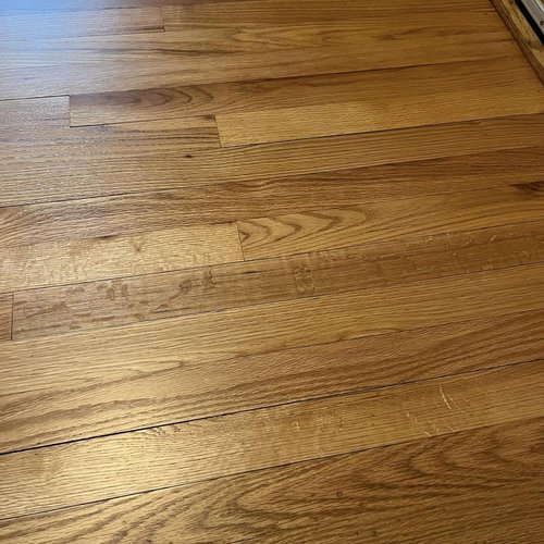 Warm Hardwood Flooring in Burlington, WA